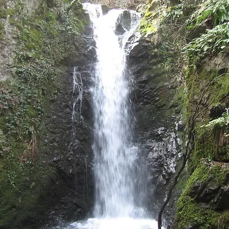 Termal Elit Hotel Gokcedere