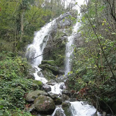 Hotel Termal Elit 2*