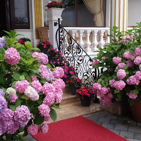 Termal Elit Hotel Gokcedere